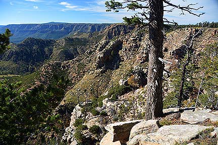 Mogollon Rim, October 23, 2014